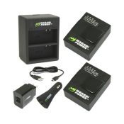 Wasabi Power and Charger Kit