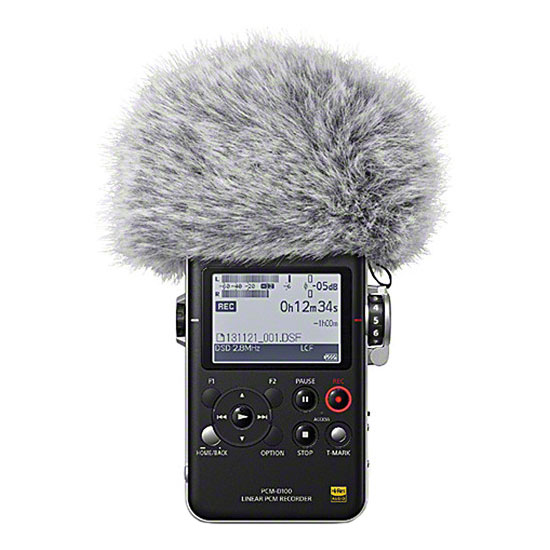 Sony PCM-D100 Portable Stereo Recorder