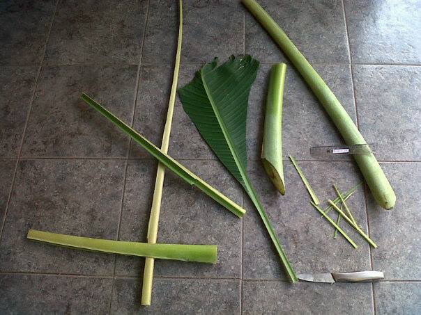 Hasil eksekusi di lahan kosong...dengan ijin dan bantuan pak tholib satpam perumahan