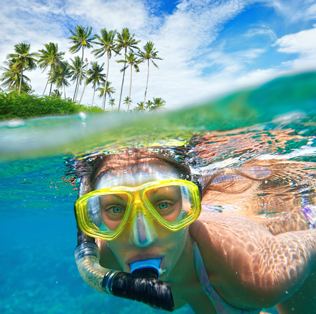 shutterstock_228533251-1024x1017