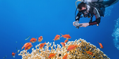 1 Tips Terbaik Mengambil Fotografi Underwater yang Mengagumkan