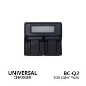 Jual Charger BC-Q2 for Sony FW50
