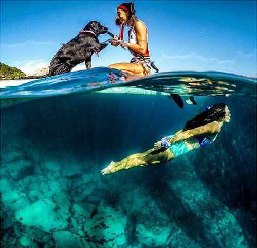 Jual Aksesoris Action Camera Gopro Third Party Micabone Dome Underwater for GoPro Hero5 Hero6 Harga Murah
