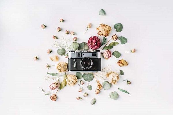660 Gambar Bunga Keren Untuk Instagram Terbaik