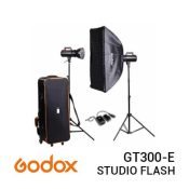 jual Godox GT300-E Gemini Series Studio Flash Kit harga murah surabaya jakarta